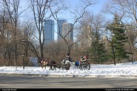 Photo by benoit | New York  central park new york